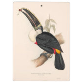 Antiek aanraakgevoelige vogelsoorten klembord (Achterkant)