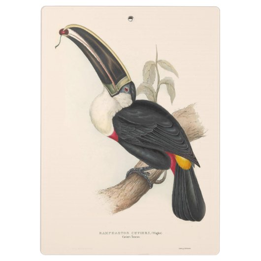 Antiek aanraakgevoelige vogelsoorten klembord (Achterkant)