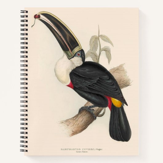 Antiek aanraakgevoelige vogelsoorten notitieboek (Voorkant)