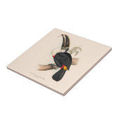 Antiek aanraakgevoelige vogelsoorten tegeltje (Zijkant)