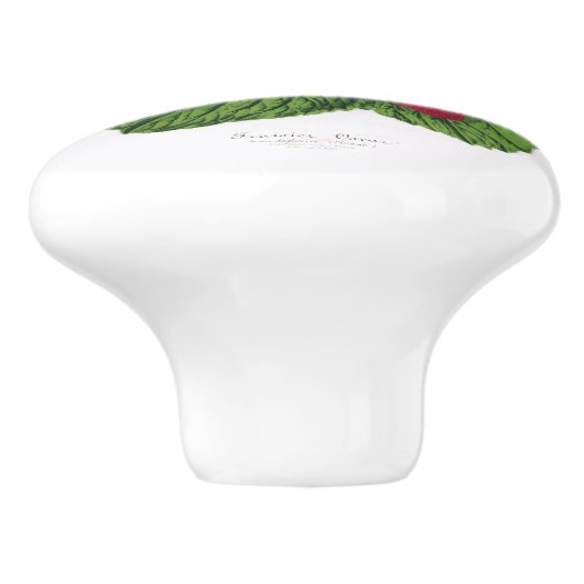 Antiek aardbei Afdrukkeramische knop (Zijkant)