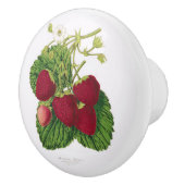 Antiek aardbei Afdrukkeramische knop (Rechts)