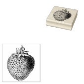 Antiek aardbei botanisch rubberstempel (Gestempeld)