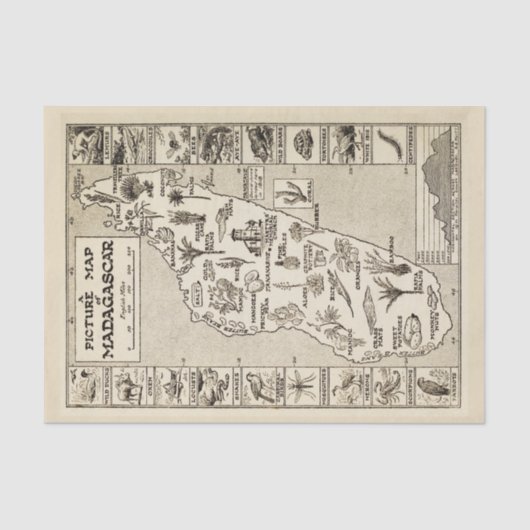 Antiek Afbeelding Kaart Madagascar Island Kraft Tissuepapier (Voorkant)