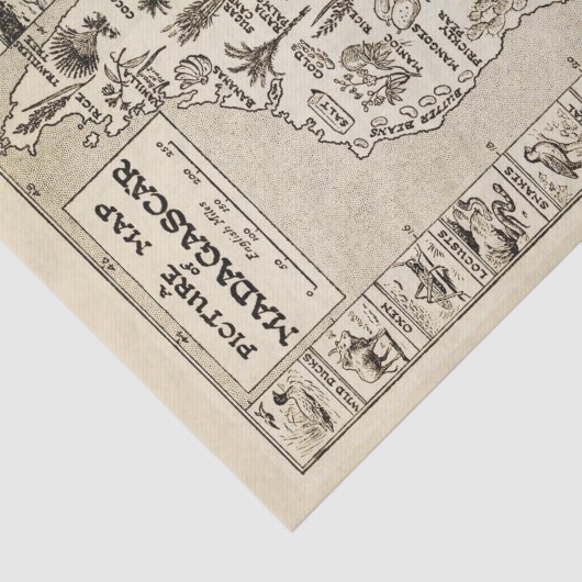 Antiek Afbeelding Kaart Madagascar Island Kraft Tissuepapier (Detail)