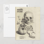 Antiek afdruk Anatomie Briefkaart (Voorkant / Achterkant)