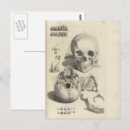 Antiek afdruk Anatomie Briefkaart (Voorkant / Achterkant)