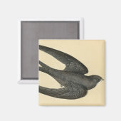 Antiek afdruk van een SWIFT Magneet (Voorkant / Achterkant)