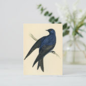 Antiek afdrukken van een Paarse Martin Briefkaart (Staand voorkant)