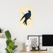 Antiek afdrukken van een Paarse Martin Poster (Thuiskantoor)