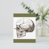 Antiek anatomie Anatomische schedel Briefkaart (Staand voorkant)