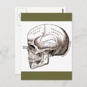Antiek anatomie Anatomische schedel Briefkaart (Voorkant / Achterkant)