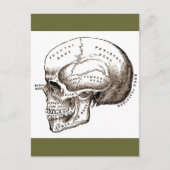 Antiek anatomie Anatomische schedel Briefkaart (Voorkant)