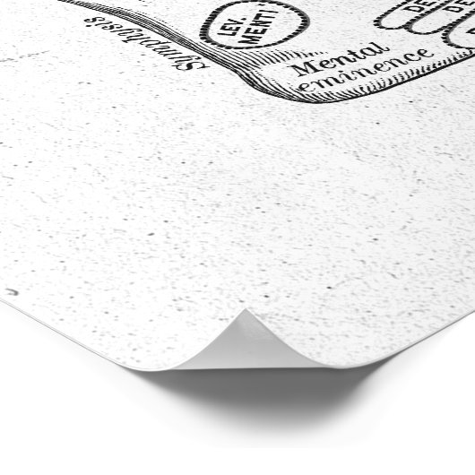 Antiek anatomie Botten Vintage Poster (Hoek)