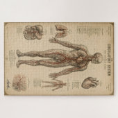 Antiek Anatomisch Bloedsomloopstelsel Legpuzzel (Horizontaal)