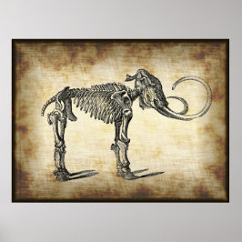  Antiek anatomische Botten van Mammoth Dinosaur Poster