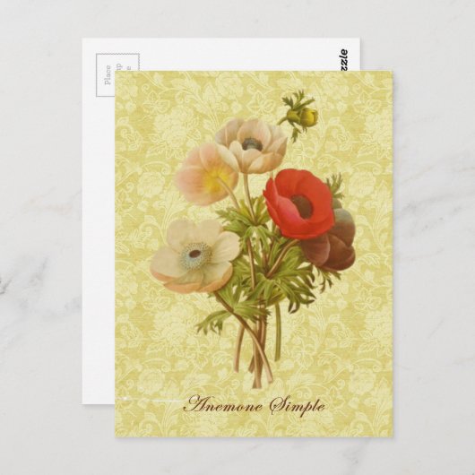 Antiek Anemone Botanisch Briefkaart (Voorkant / Achterkant)