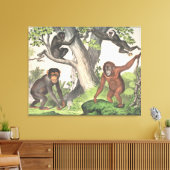 Antiek apen in Oerwoud afdrukken (Insitu (Woonkamer))