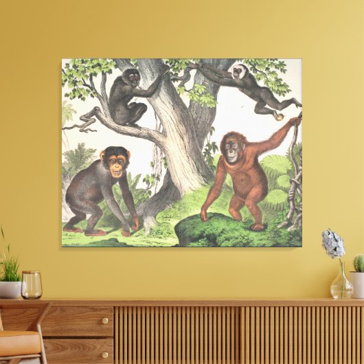 Antiek apen in Oerwoud afdrukken (Insitu (Woonkamer))