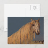 Antiek Art Twilight Desert Arabian Horse Briefkaar Briefkaart (Voorkant / Achterkant)