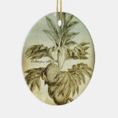 Antiek Artocarpus Altilis Keramisch Ornament (Rechts)