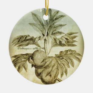 Antiek Artocarpus Altilis Keramisch Ornament