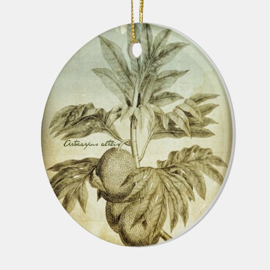 Antiek Artocarpus Altilis Keramisch Ornament (Links)