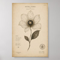 Antiek Astronomisch Bloemenschilderij aan de Muur