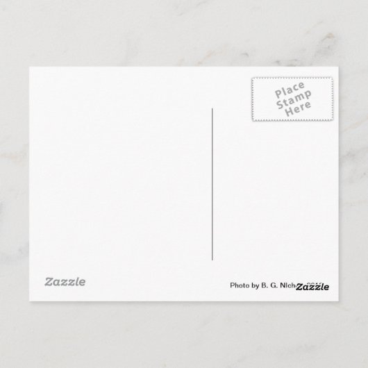 Antiek auto briefkaart (Achterkant)