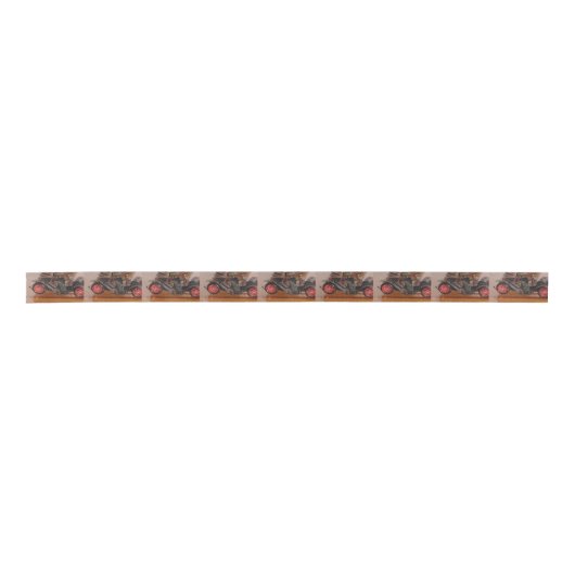 Antiek autolint satijnen lint (Voorkant)