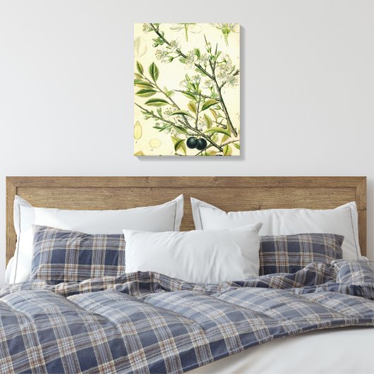 Antiek Blackthorn Botanische Print Bloembes (Insitu (Slaapkamer))