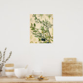 Antiek Blackthorn Botanische Print Bloembes (Keuken)