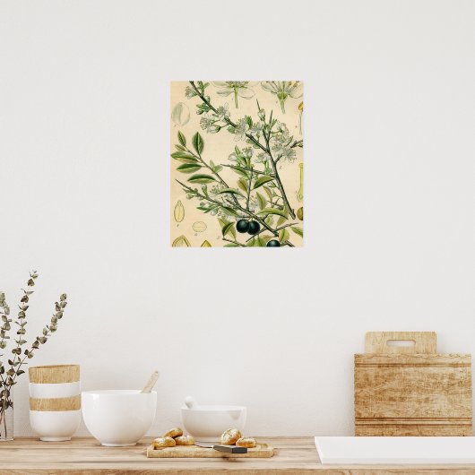 Antiek Blackthorn Botanische Print Bloembes (Keuken)