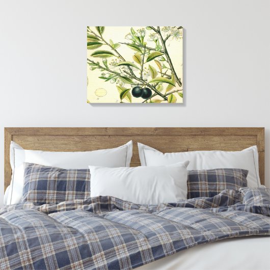 Antiek Blackthorn Botanische Print Bloembes (Insitu (Slaapkamer))