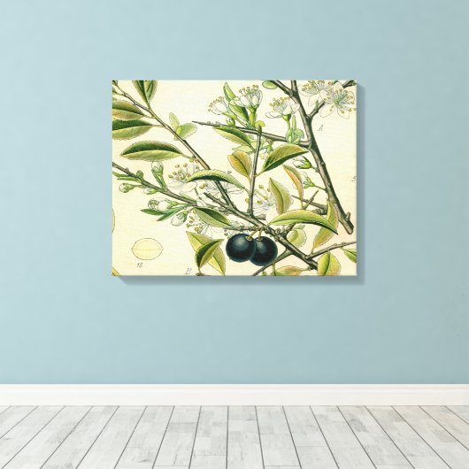 Antiek Blackthorn Botanische Print Bloembes (Insitu (Houten vloer))