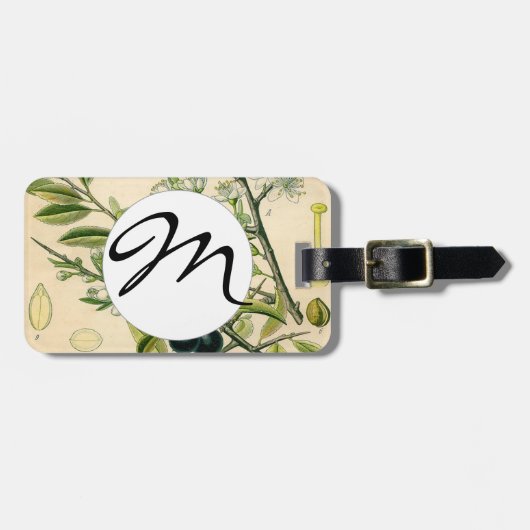 Antiek Blackthorn Botanische Print Bloembes Bagagelabel (Voorkant horizontaal)