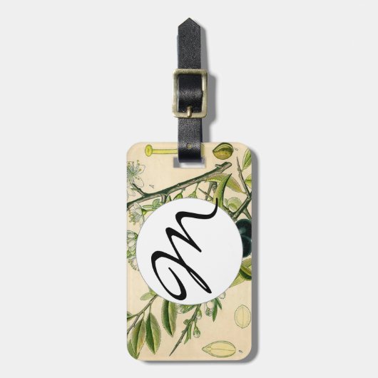 Antiek Blackthorn Botanische Print Bloembes Bagagelabel (Voorkant verticaal)