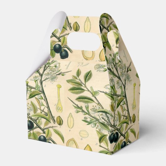 Antiek Blackthorn Botanische Print Bloembes Bedankdoosjes (Achterkant)
