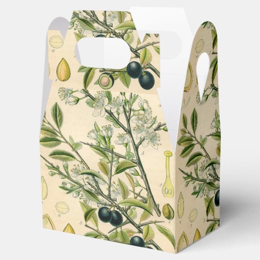 Antiek Blackthorn Botanische Print Bloembes Bedankdoosjes (Geopend)