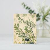 Antiek Blackthorn Botanische Print Bloembes Briefkaart (Staand voorkant)