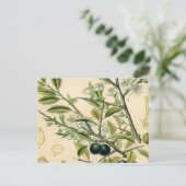 Antiek Blackthorn Botanische Print Bloembes Briefkaart (Staand voorkant)