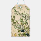 Antiek Blackthorn Botanische Print Bloembes Cadeaulabel (Voorkant)
