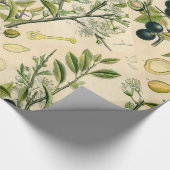 Antiek Blackthorn Botanische Print Bloembes Cadeaupapier (Hoek)