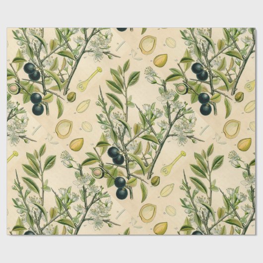 Antiek Blackthorn Botanische Print Bloembes Cadeaupapier (Vlak)