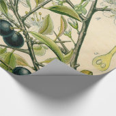 Antiek Blackthorn Botanische Print Bloembes Cadeaupapier (Hoek)