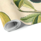 Antiek Blackthorn Botanische Print Bloembes Cadeaupapier (Rol Hoek)