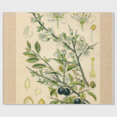 Antiek Blackthorn Botanische Print Bloembes Cadeaupapier (Vlak)