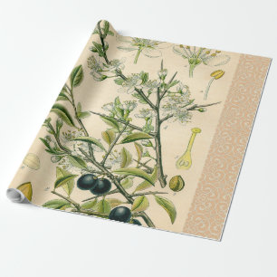 Antiek Blackthorn Botanische Print Bloembes Cadeaupapier