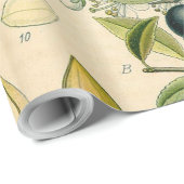 Antiek Blackthorn Botanische Print Bloembes Cadeaupapier (Rol Hoek)