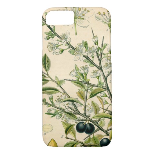 Antiek Blackthorn Botanische Print Bloembes Case-Mate iPhone Case (Achterkant)